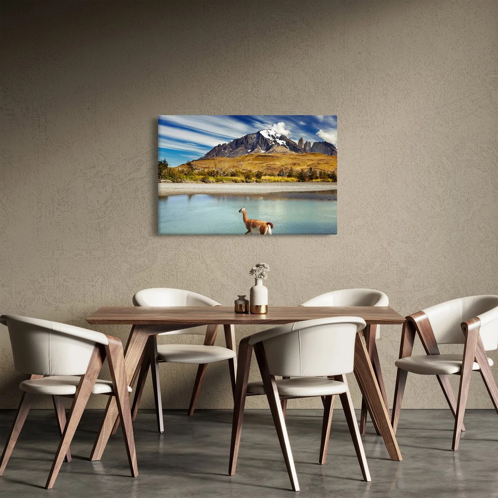 Tablou - Parcul Național Torres del Paine (90x60 cm)