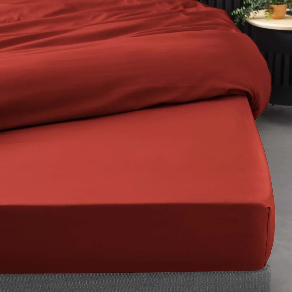 Cearceaf cărămiziu din bumbac percal cu elastic 180x200 cm Percaline – douceur d'intérieur