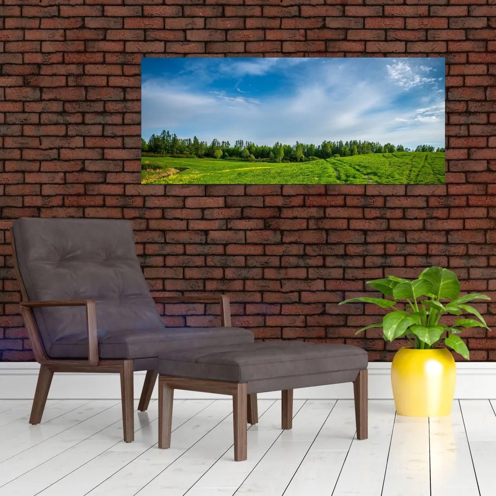 Tablou cu luncă (120x50 cm)