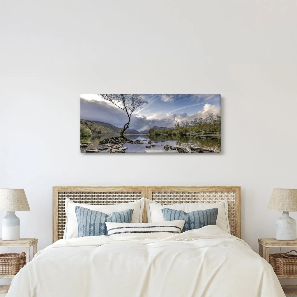 Tablou cu râu și copac (120x50 cm)