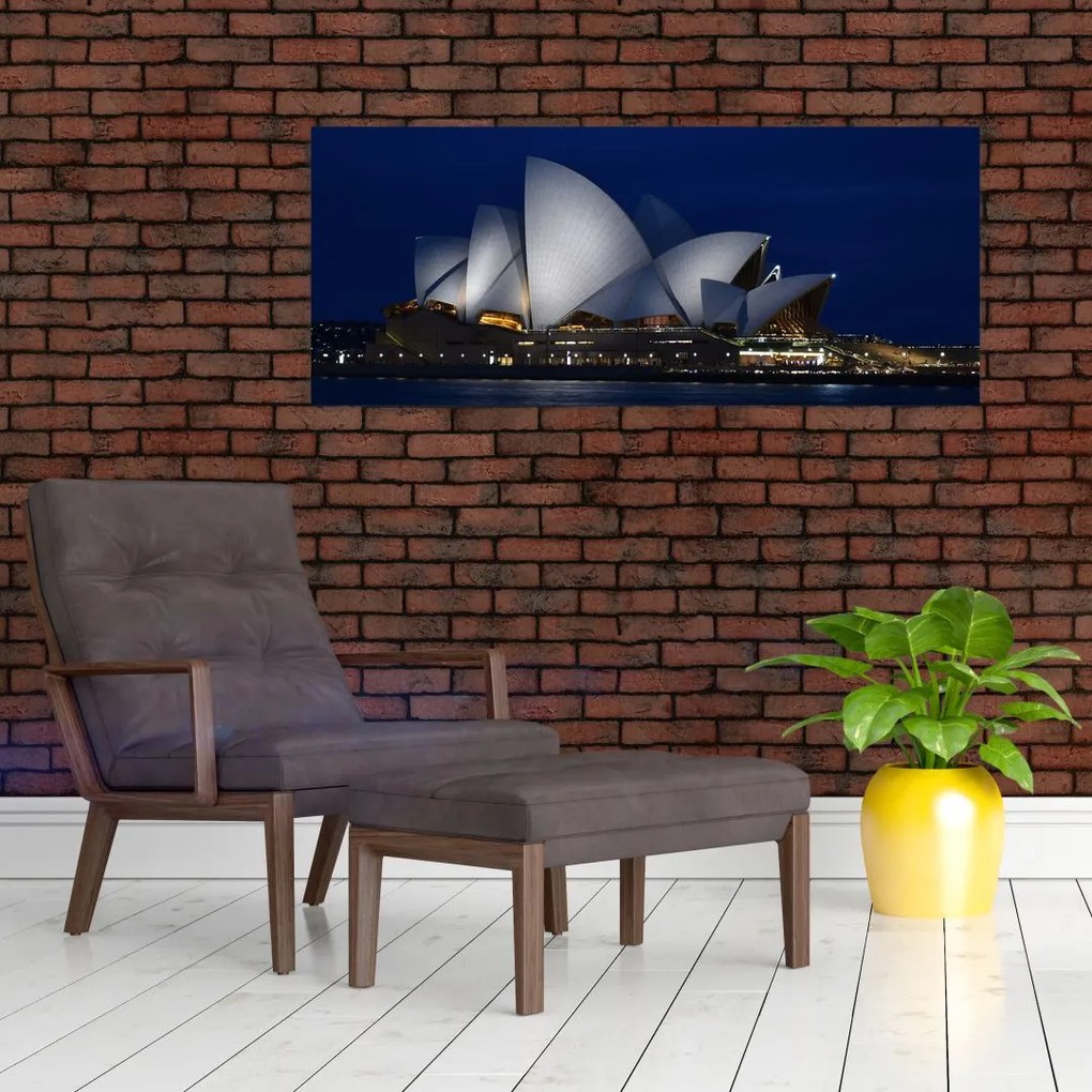 Tabloul Sydney nocturn (120x50 cm)