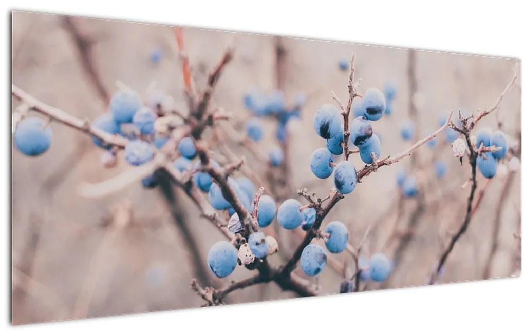Tablou cu fructe pe tufiș (120x50 cm)