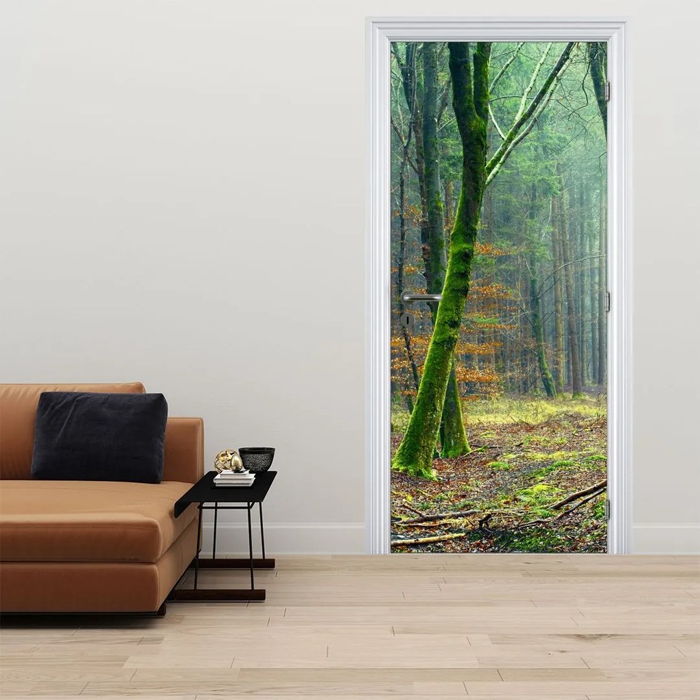 Fototapet pentru ușă - Pădurea (95x205cm)