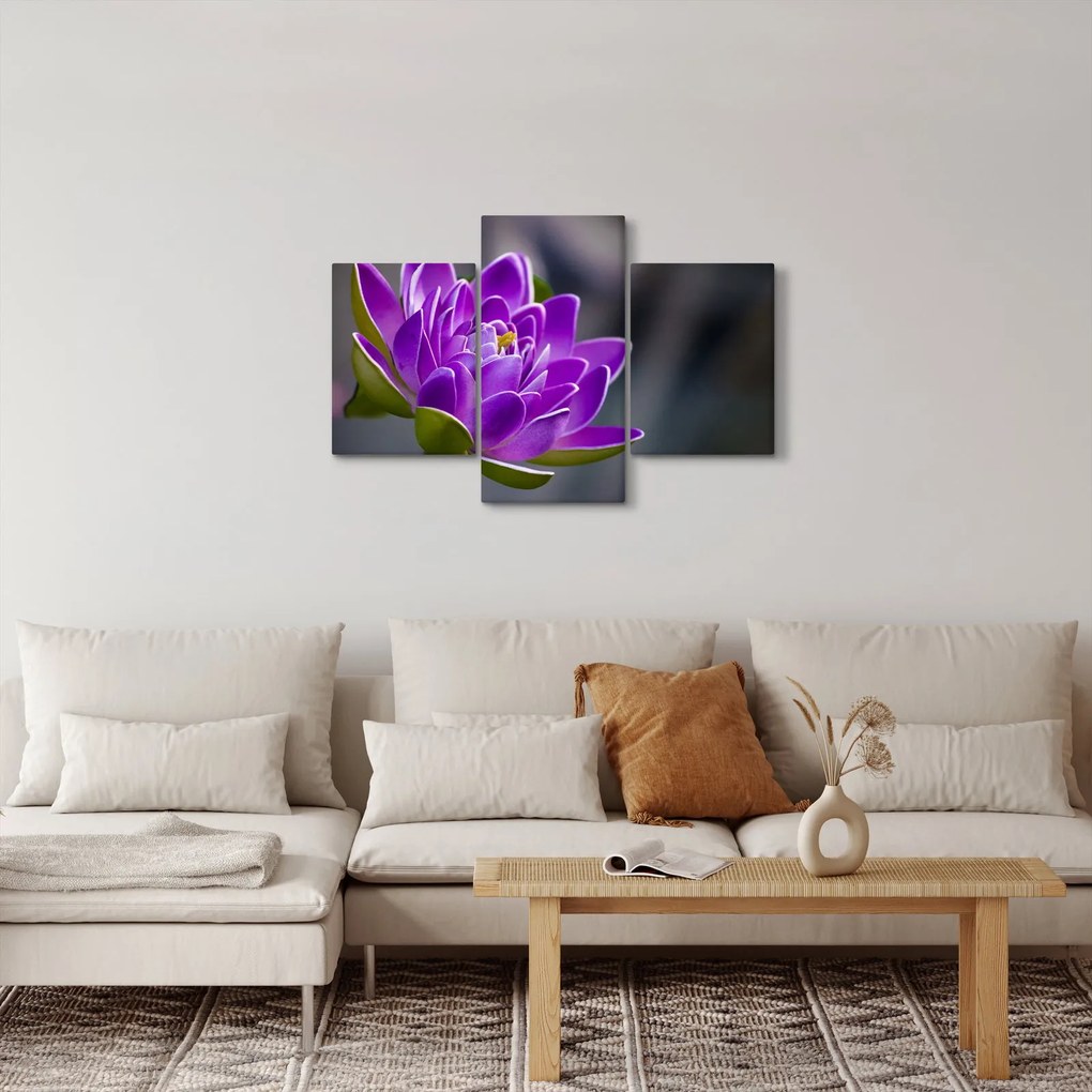 Tablou floarei (90x60 cm)