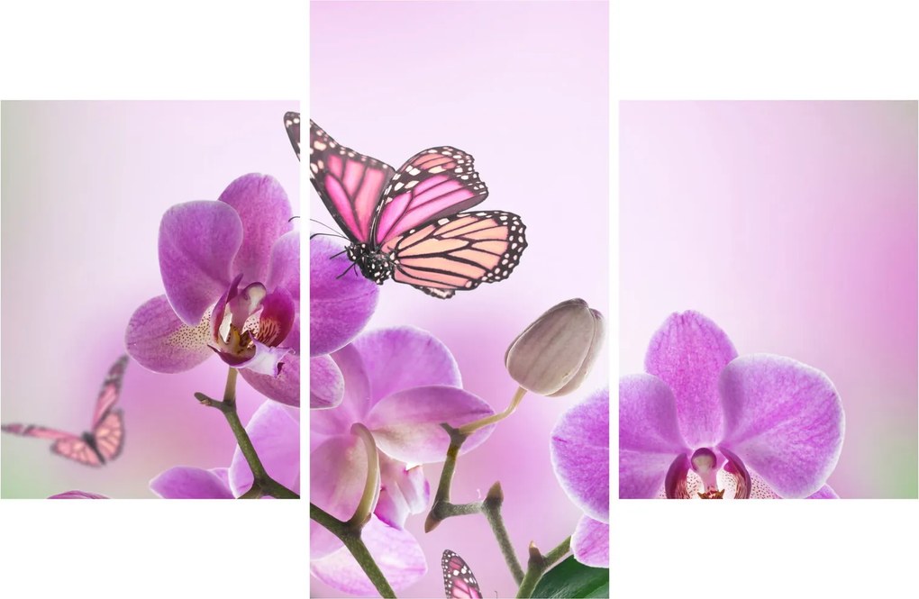 Tablou - Fluture pe flori de orhidee, liliac (90x60 cm)