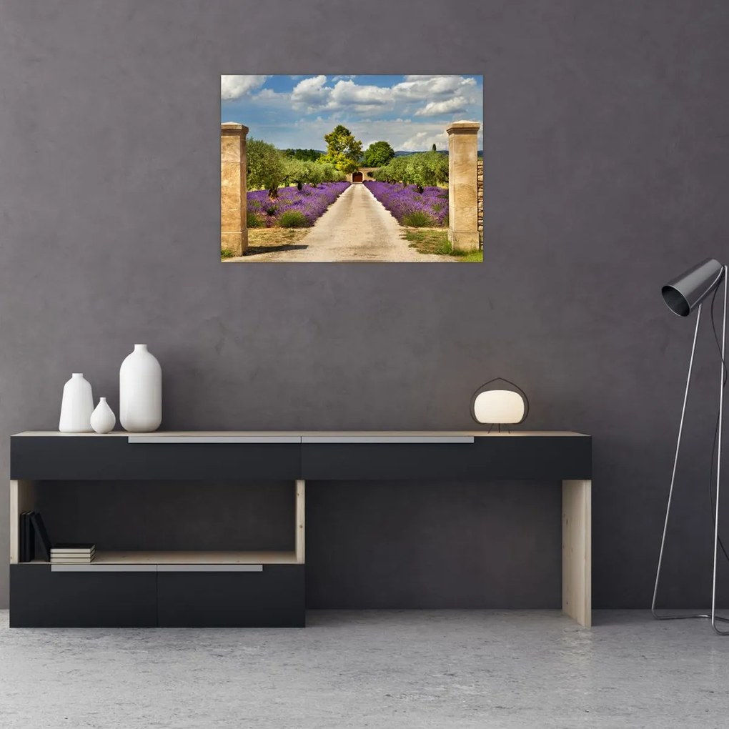 Tablou - Căi de lavandă (70x50 cm)