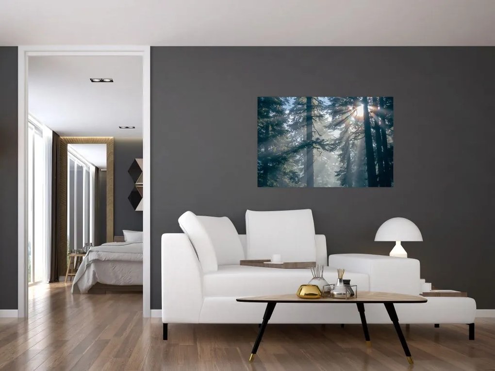 Tablou cu copaci și soarele translucind (90x60 cm)