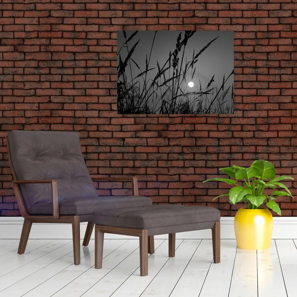 Tablou pe sticlă - Pajiște cu apus de soare (70x50 cm)