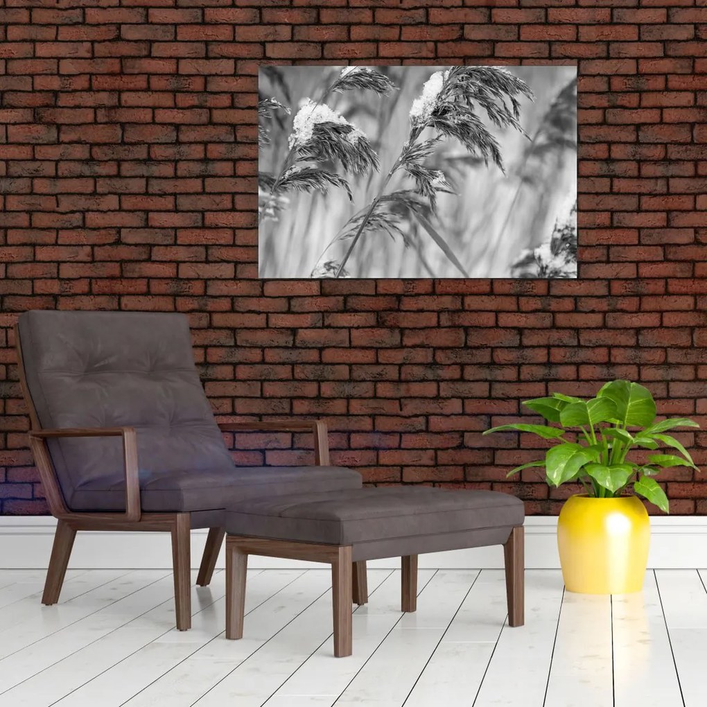 Tablou - Tei,alb-negru (90x60 cm)