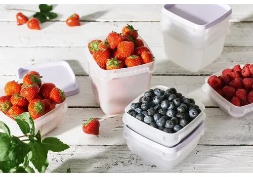 Set de recipiente SmartStore de plastic pentrucongelator 6 buc, lavanda, 300 ml, 300 ml