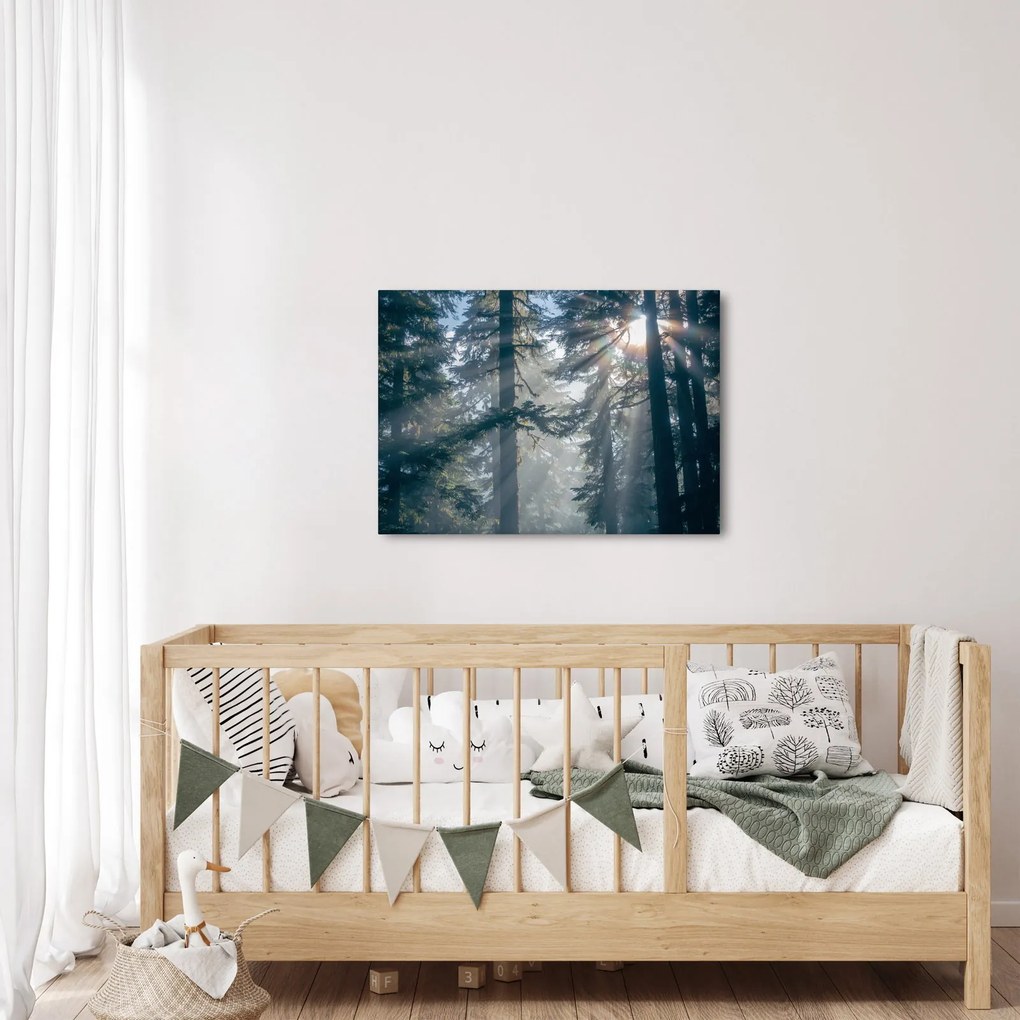 Tablou cu copaci și soarele translucind (70x50 cm)