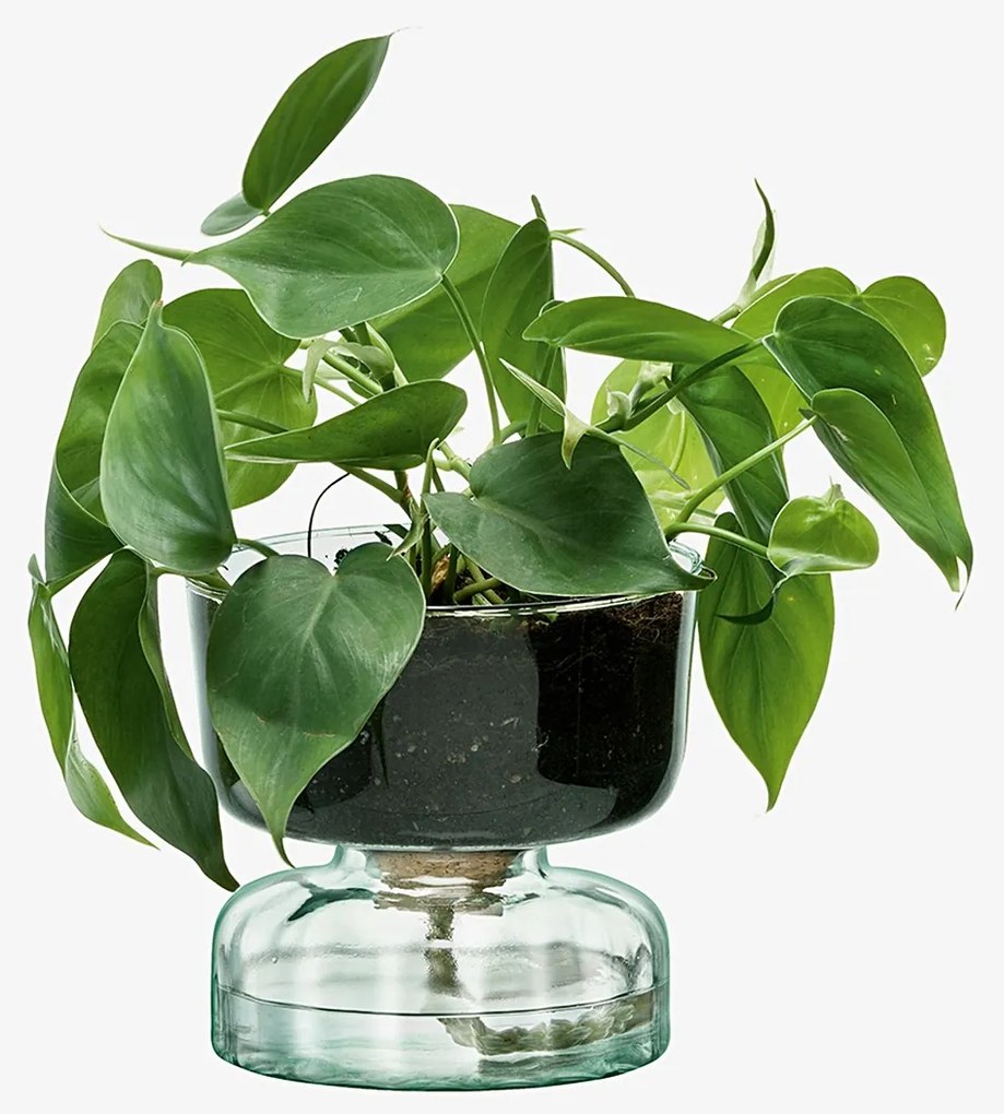 Ghiveci de flori cu auto-udare, Canopy, înălţime 13 cm, transparent- LSA International