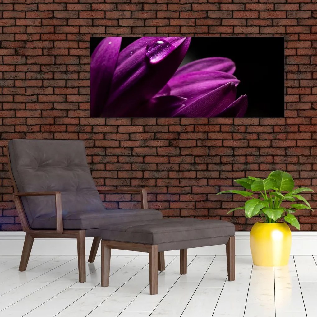 Tablou - Picătura de apă (120x50 cm)
