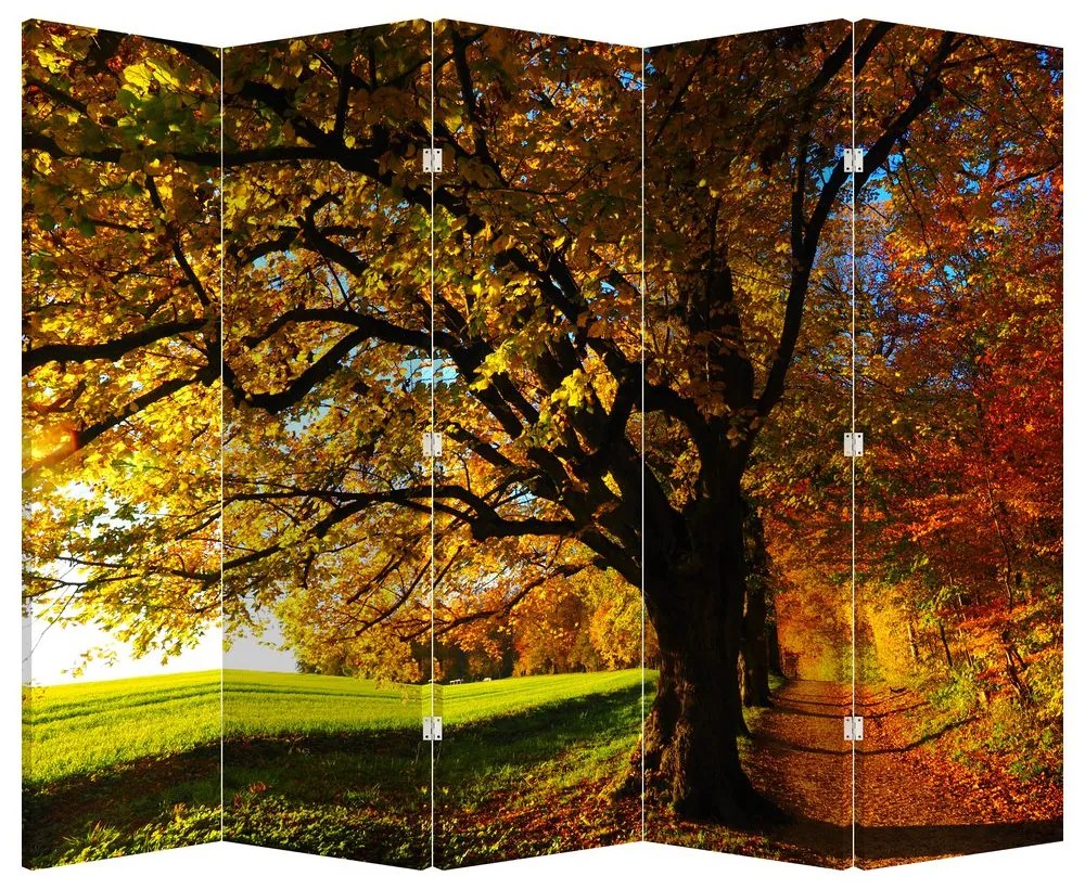 Paravan - Toamna (210x170 cm)