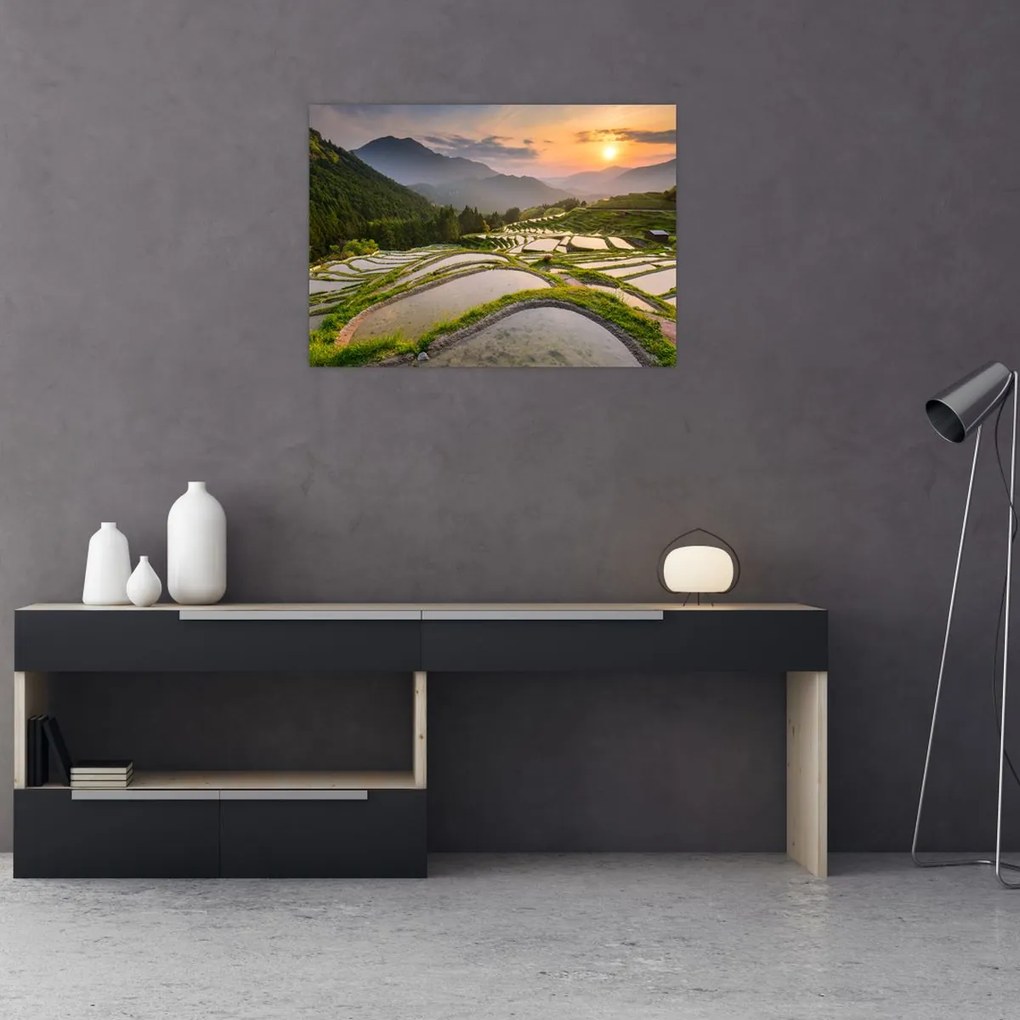 Tablou pe sticlă - Terase de orez (70x50 cm)