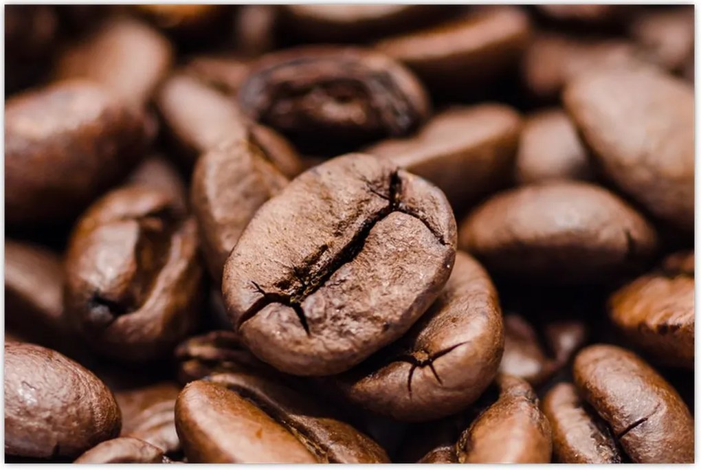 Tablou - Boabe de cafea (90x60 cm)