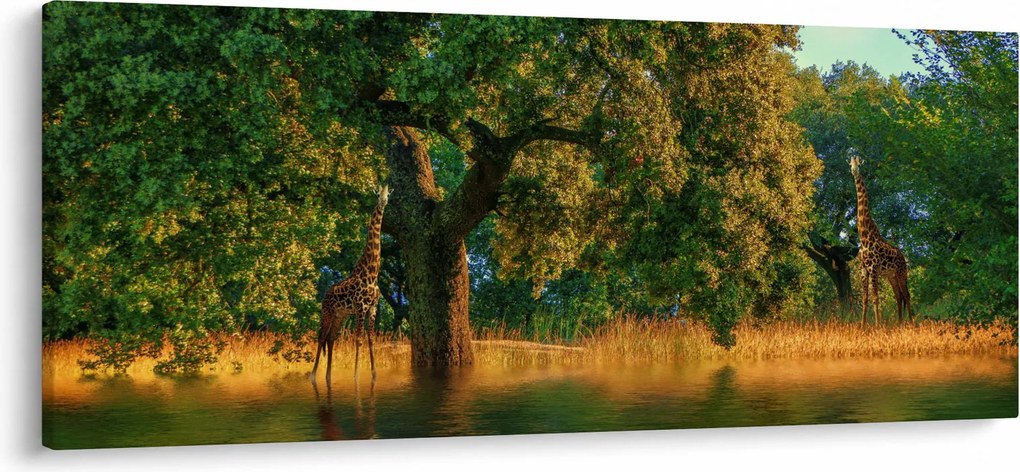Tablou cu girafe în natură (120x50 cm)