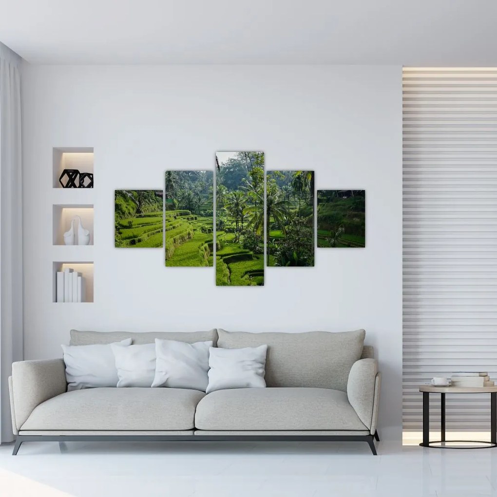 Tablou cu terasele cu orez Tegalalang, Bali (125x70 cm), în 40 de alte dimensiuni noi