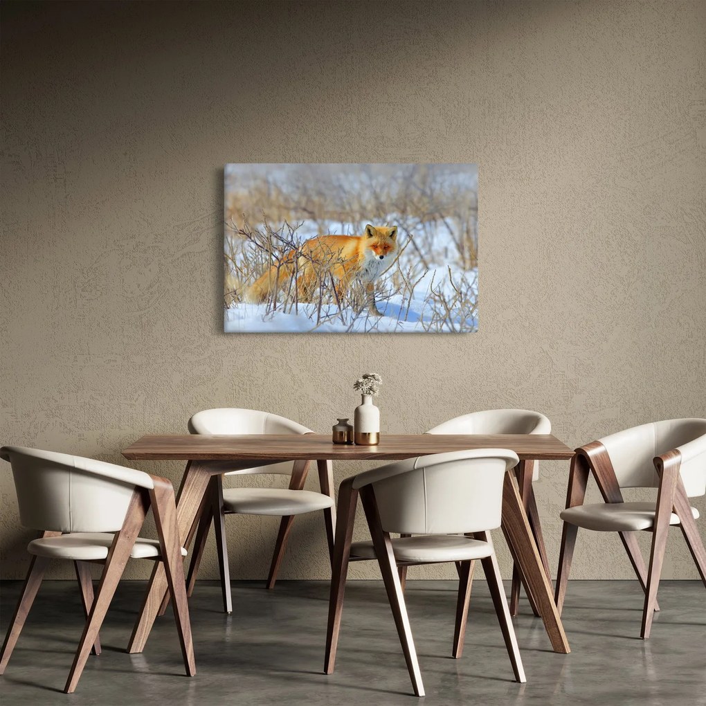 Tablou - Vulpe (90x60 cm)