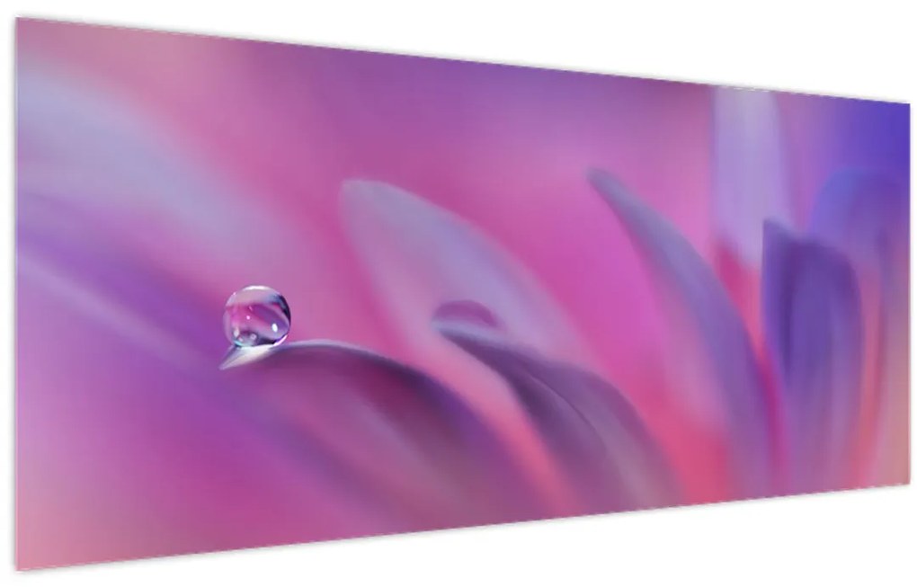 Tablou - Picătură pe floare (120x50 cm)