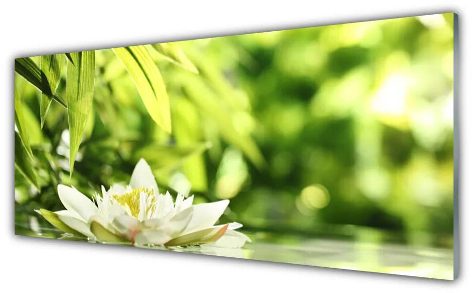 Tablou pe sticla Frunze de flori Floral Alb Verde Galben