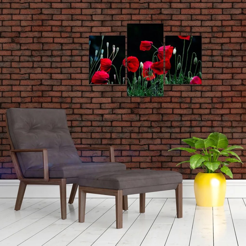 Tablou - Dansul macilor (90x60 cm)