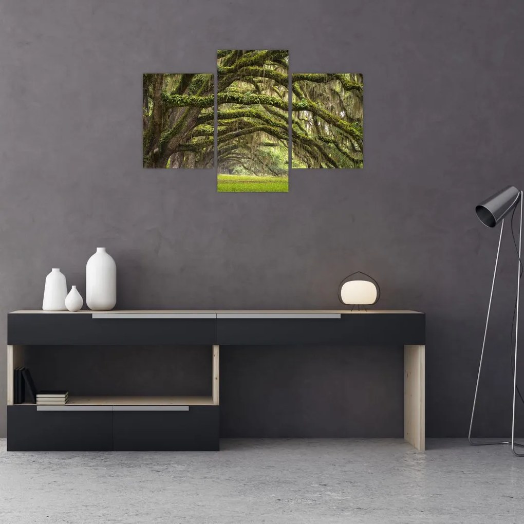 Tablou - Oaks Avenue, Charleston, Carolina de Sud, SUA (90x60 cm)