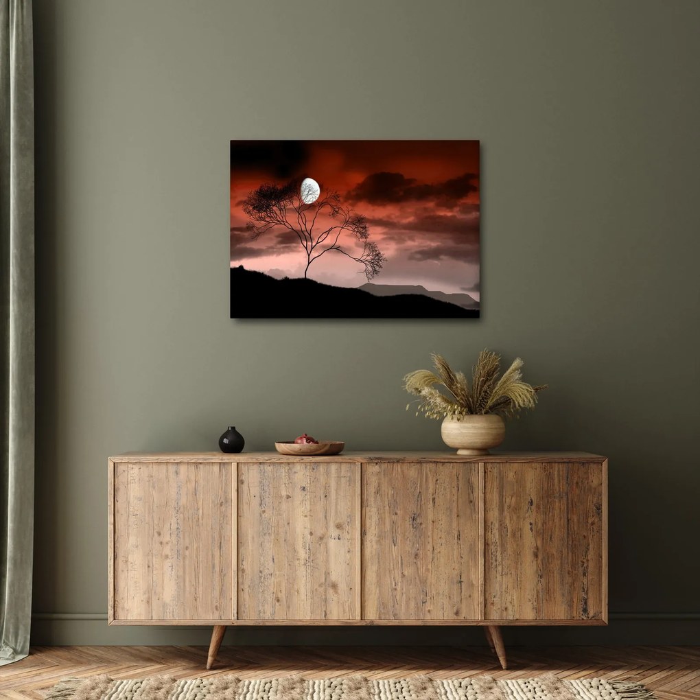 Tablou - Luna luminează noaptea (70x50 cm)