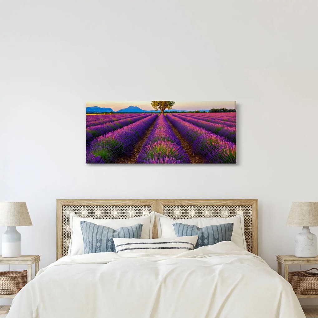 Tablou - Câmp de lavandă (120x50 cm)