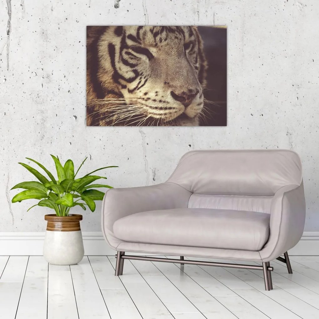 Tablou pe sticlă cu tigrul (70x50 cm)