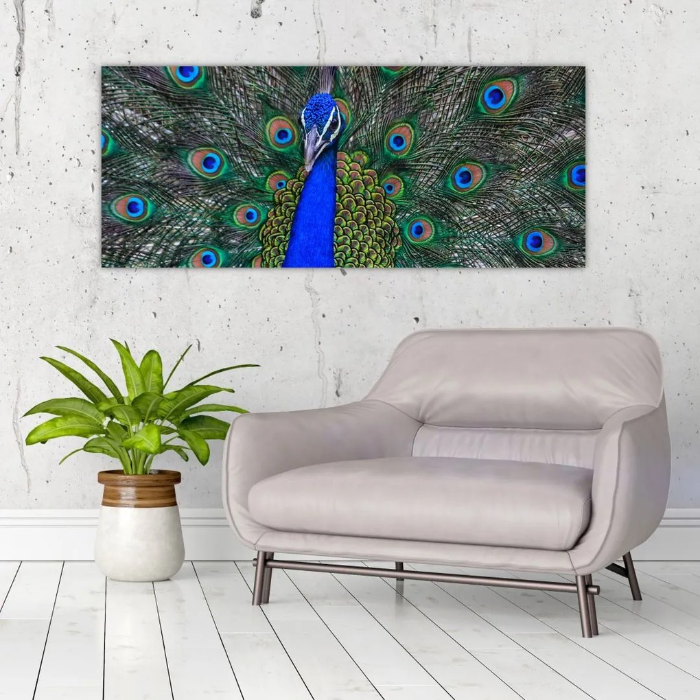 Tablou - Păun (120x50 cm)