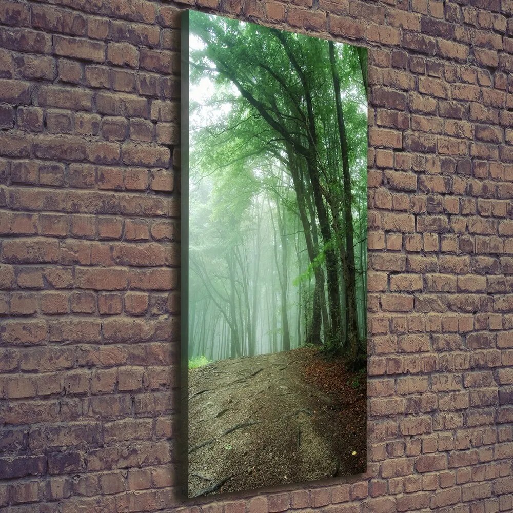 Print pe canvas Ceață în pădure