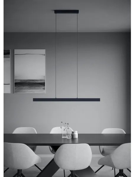 Lustră LED dimabilă pe cablu Eglo 390368 MONTEBUONO LED/20W/230V 3000K negru