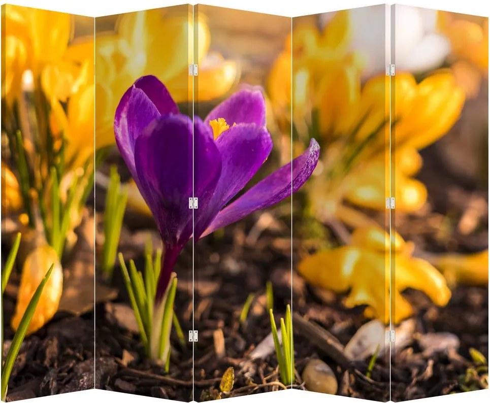 Paravan - Floare violetă (210x170 cm)