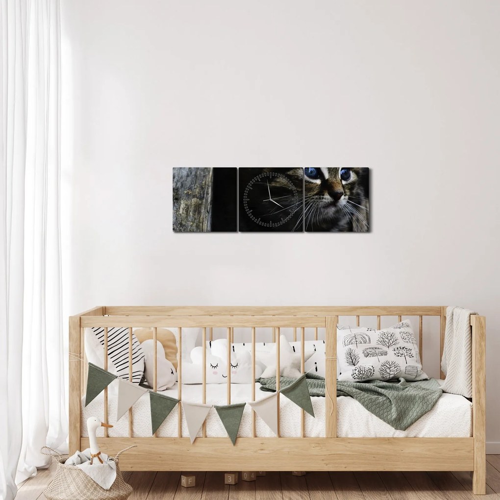 Tablou cu pisicuța (cu ceas) (90x30 cm)