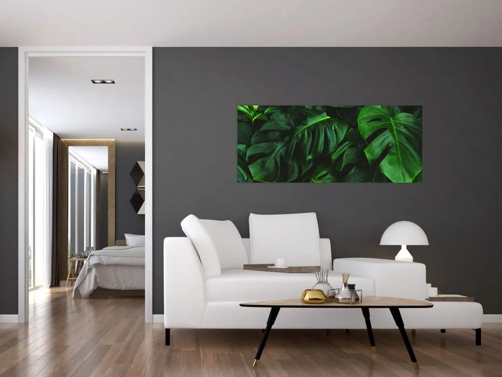 Tablou cu frunze Monstery (120x50 cm)