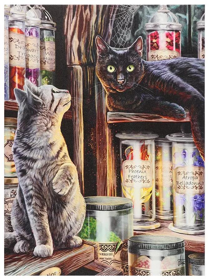 Tablou canvas pisicuta, Magical Emporium 19x25cm - Lisa Parker