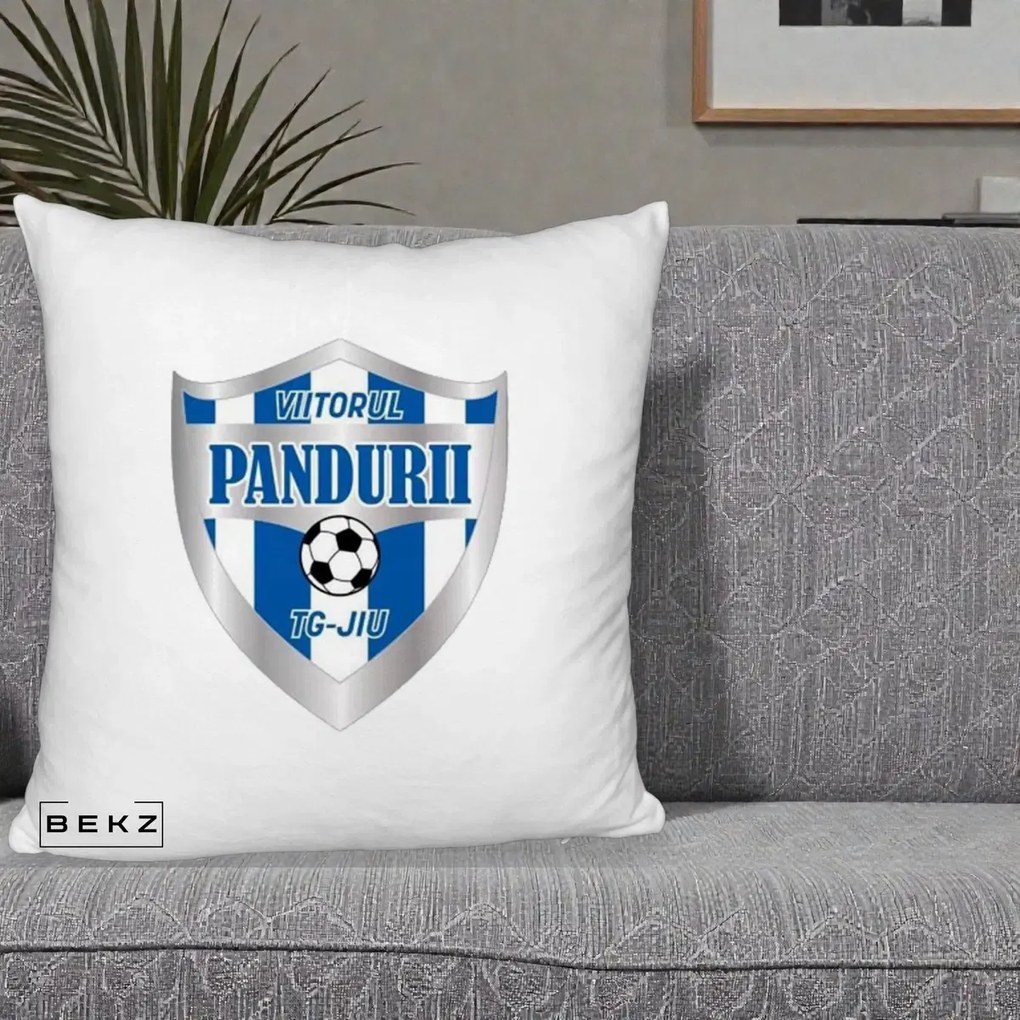 Perna Personalizata Pandurii Targu Jiu Fotbal, 40x40 cm, Alb Pufos, Husa Detasabila, Perna Inclusa, BEKZ®