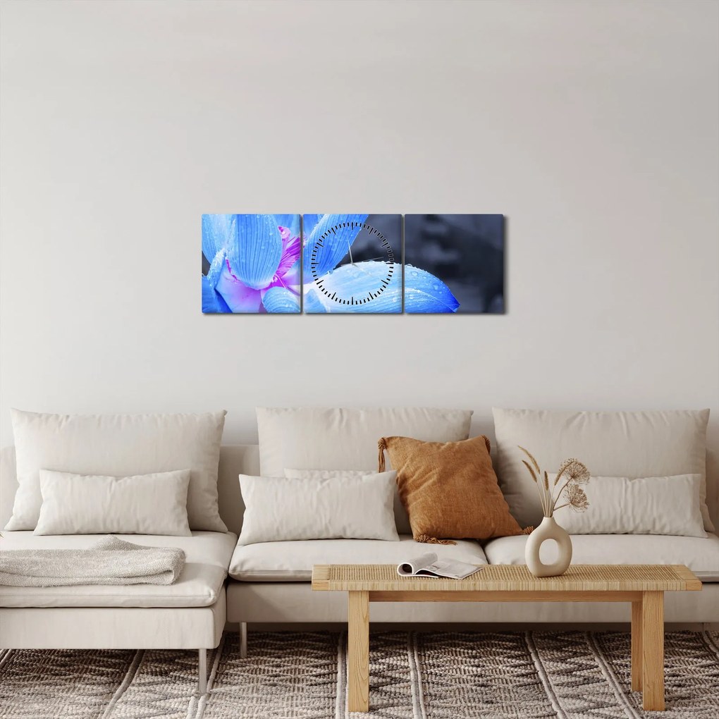 Tablou florilor în detailu (cu ceas) (90x30 cm)