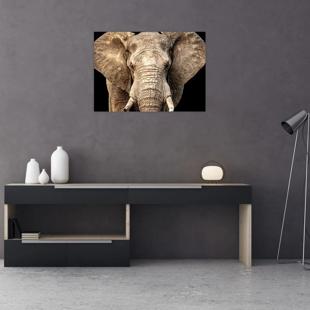 Tablou pe sticlă - Elefant african (70x50 cm)
