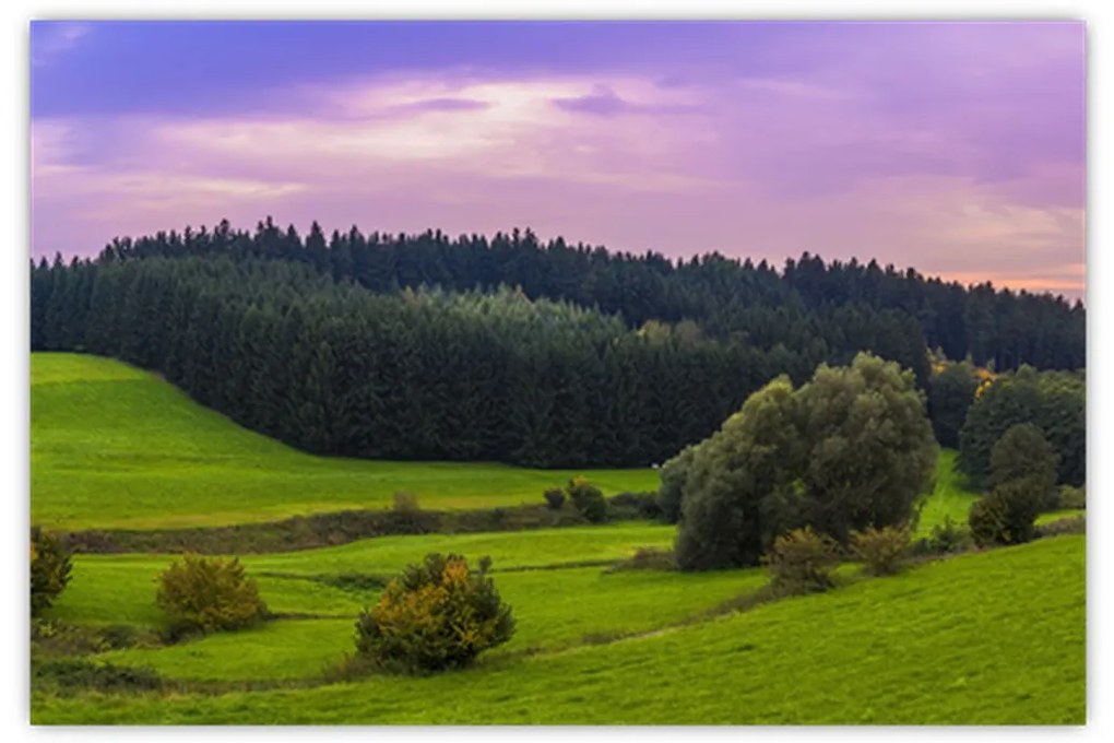 Tablou cu lunca (90x60 cm)