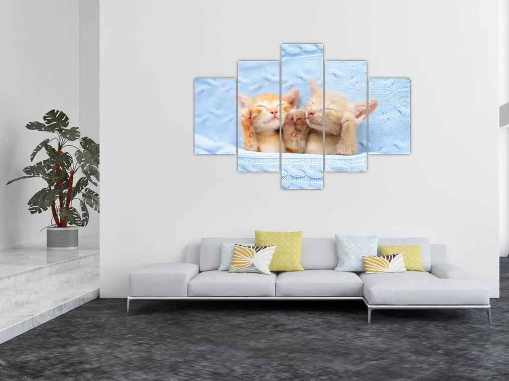 Tablou - Pisicuțe adormite (150x105 cm)