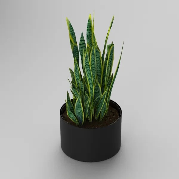 Ghiveci de flori 11x17 cm negru