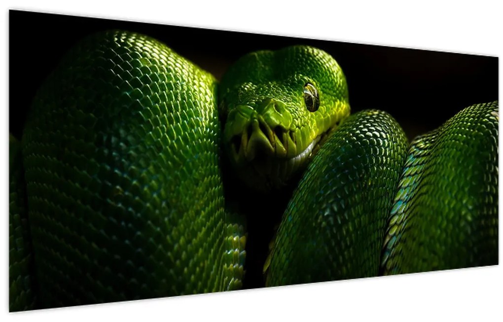 Tablou - Șarpele verde (120x50 cm)