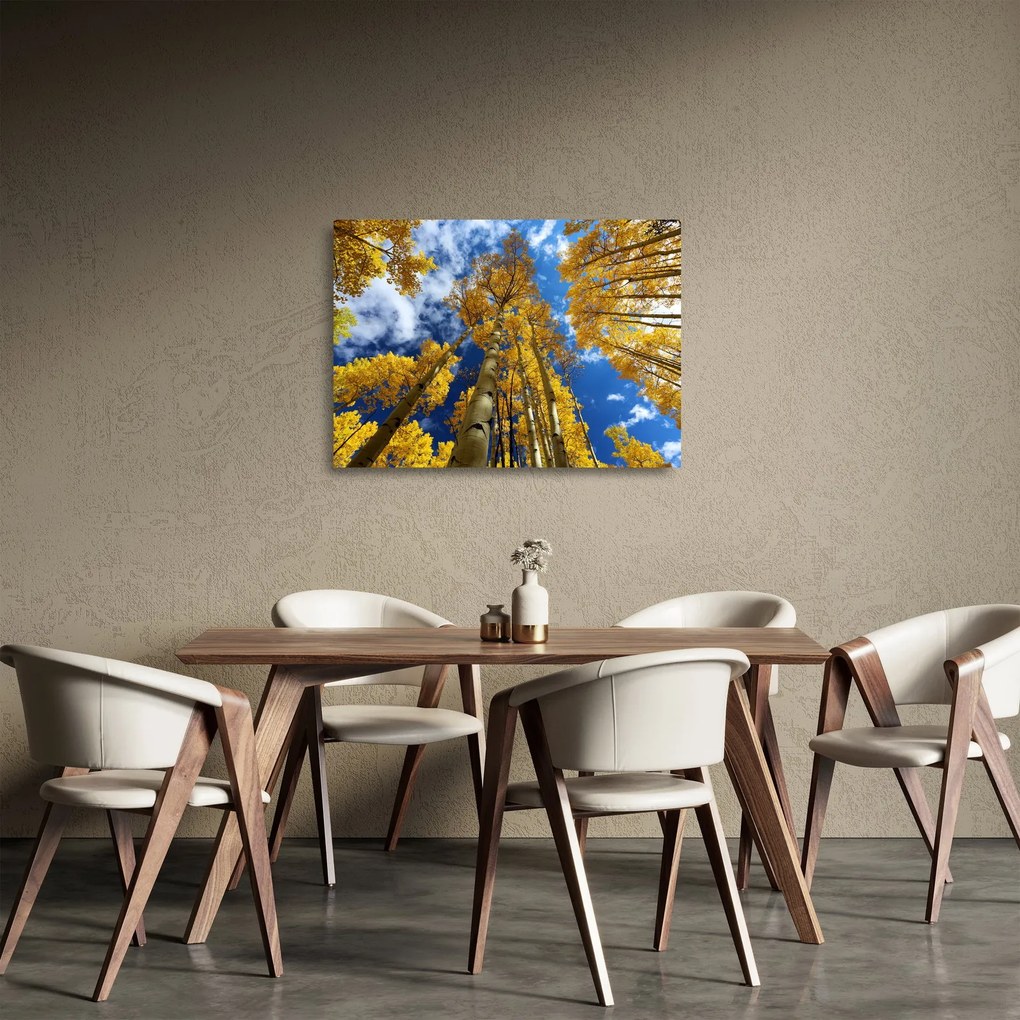 Tablou pe sticlă - Aspen (70x50 cm)