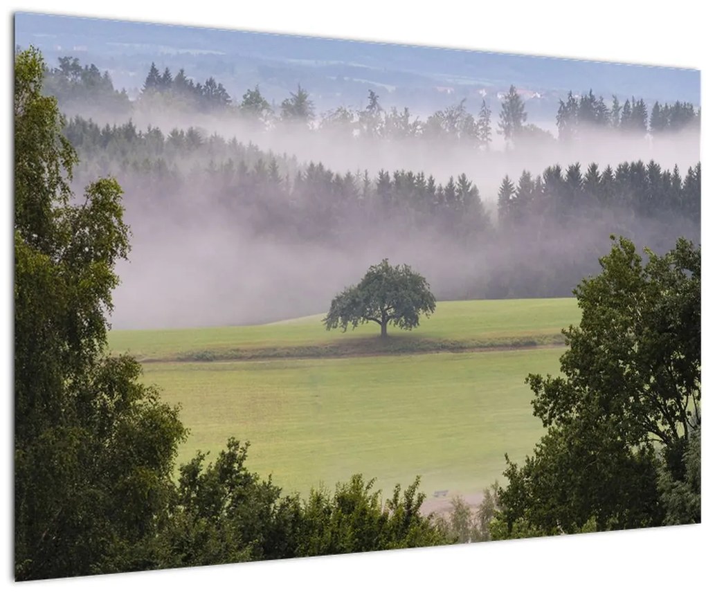 Tablou - Lunca cu copac (90x60 cm)