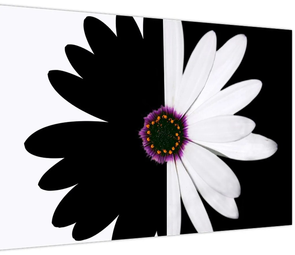 Tablou - Floare, alb- negru (90x60 cm)