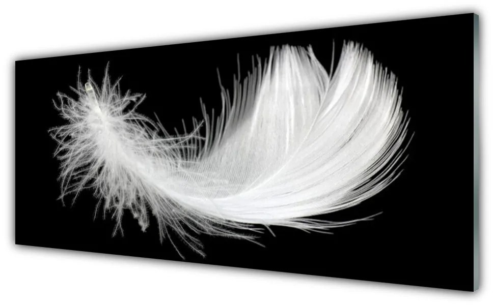 Tablouri acrilice Feather Art White