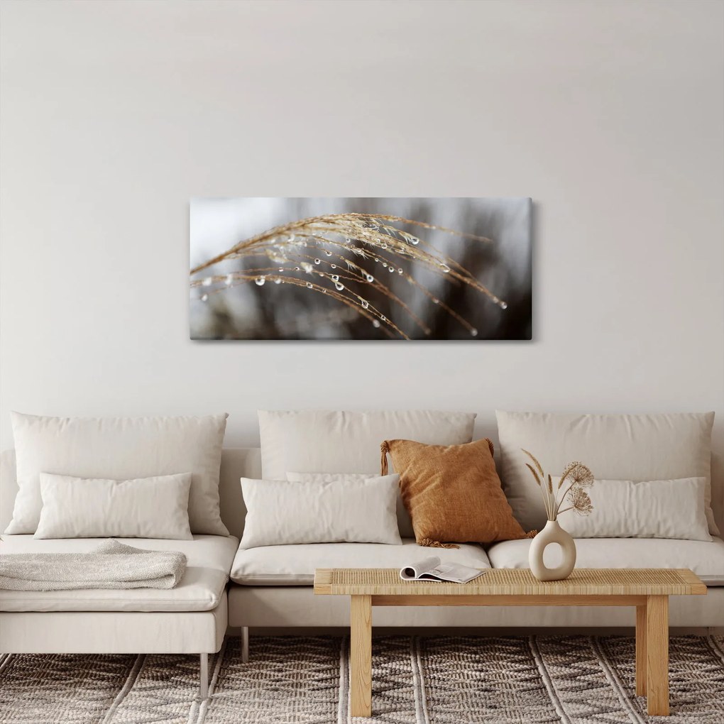 Tablou - Picături pe plantă (120x50 cm)