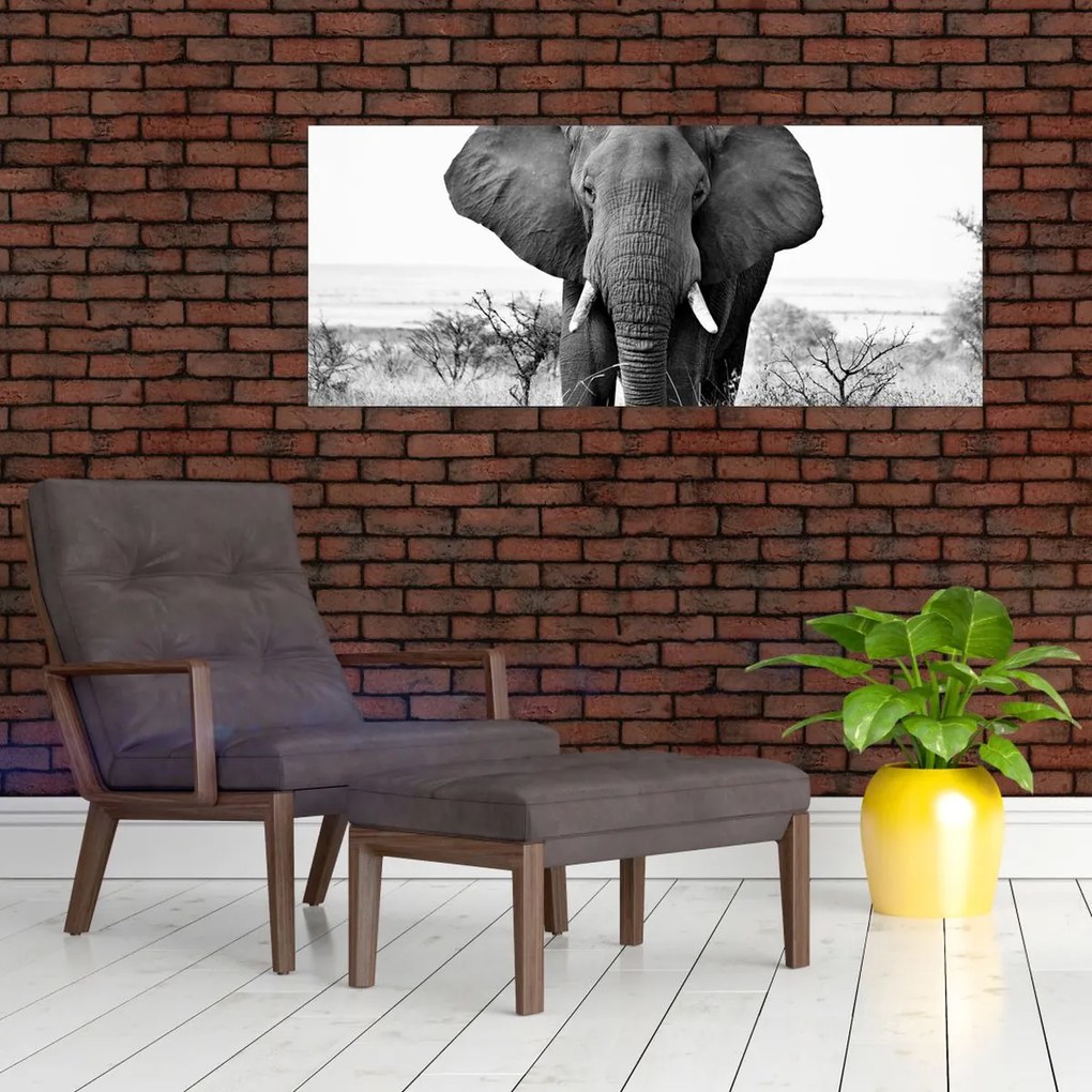 Tablou - Elefantul african II. (120x50 cm)